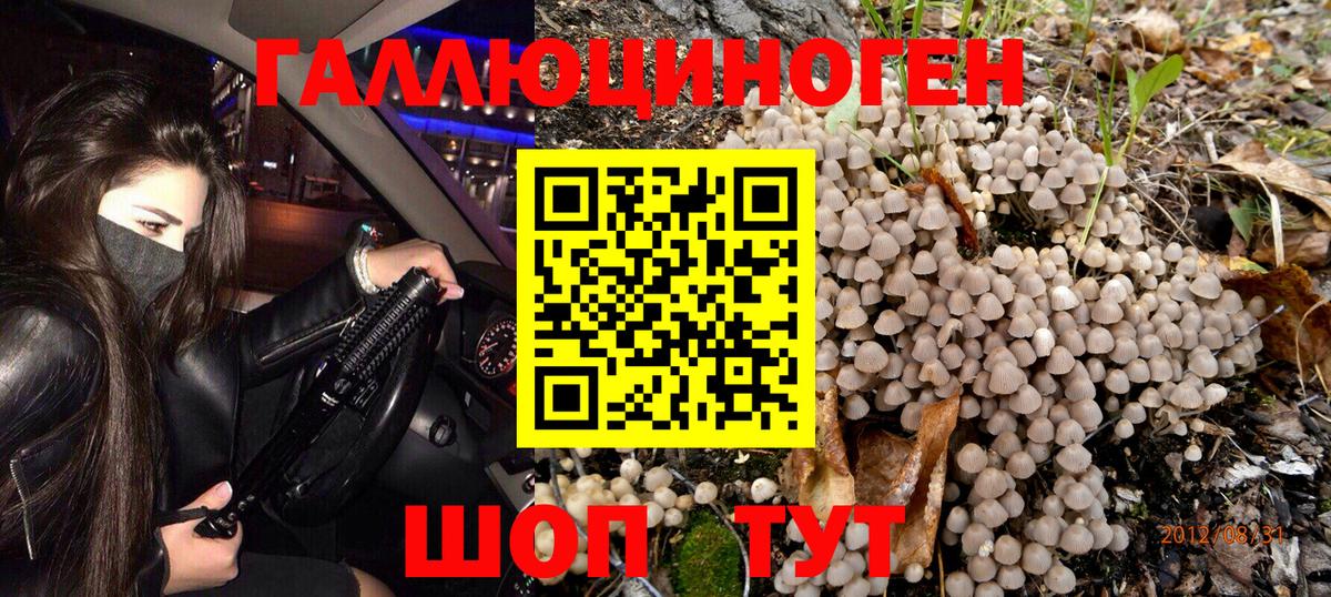 Галлюциногенные грибы Psilocybe  Галлюциногенные грибы Magic Shrooms  Вход с VPN  Минусинск 